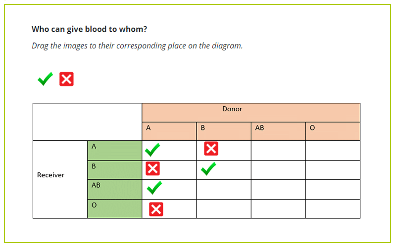 Question types in assessmentQ: drag and drop on figurer